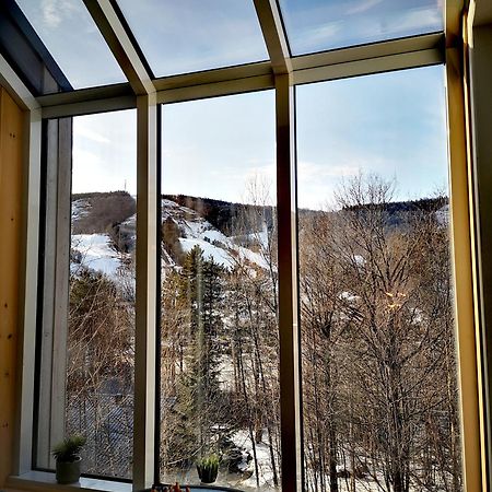 Condo Sur 2 Niveaux Avec Magnifique Vue Sur La Montagne ストーンハム エクステリア 写真