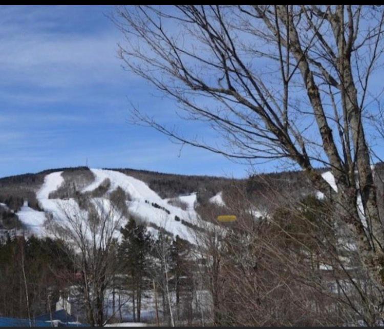 Condo Sur 2 Niveaux Avec Magnifique Vue Sur La Montagne ストーンハム エクステリア 写真