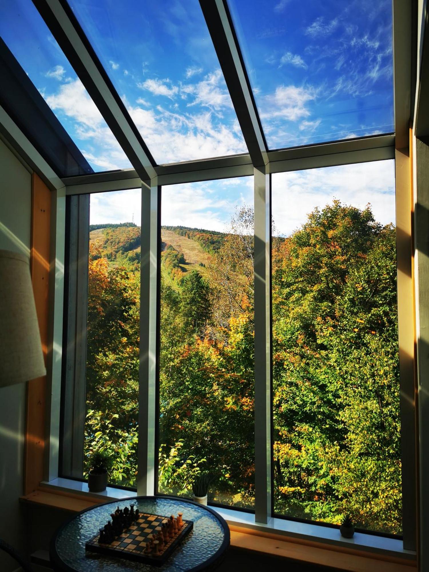 Condo Sur 2 Niveaux Avec Magnifique Vue Sur La Montagne ストーンハム エクステリア 写真